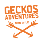 Geckos Adventures Geckos Adventures